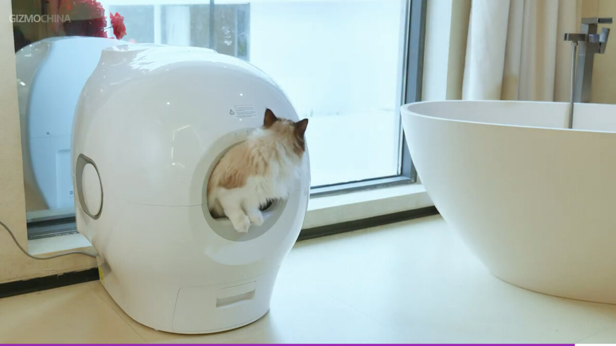 Умный унитаз для кошки