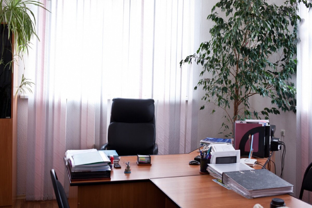 Вот примерно такой "скромный кабинетик " получился тогда у Людмилы... Яндекс-фото