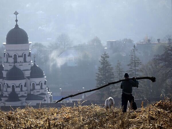    © AP Photo / John McConnico