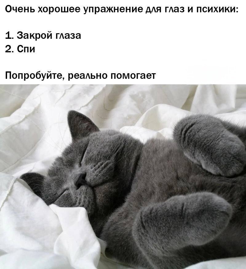 мечта моя - спать долго и счастливо