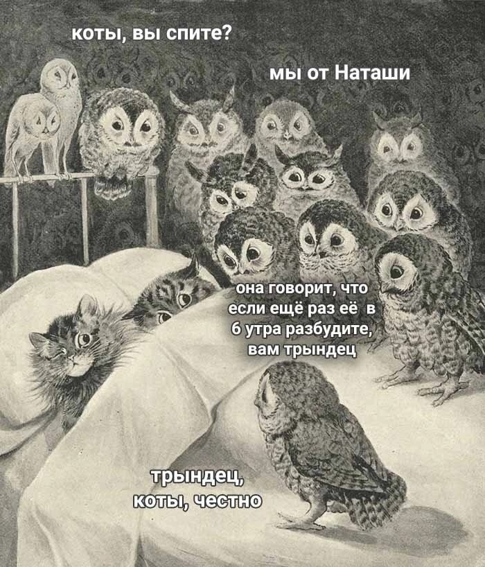 ответочка котам от Наташи :)