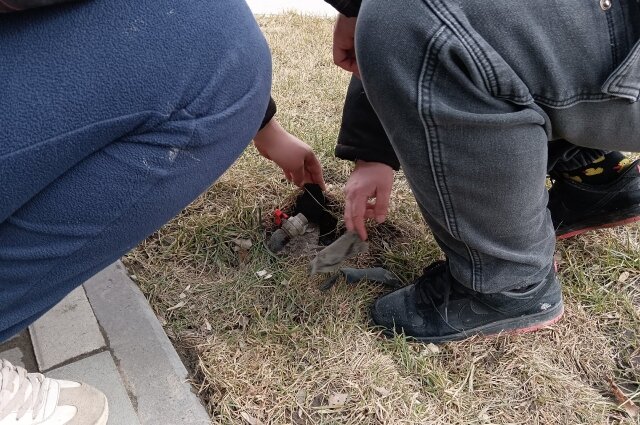    Фото:  АиФ/ Игорь Сабаталов