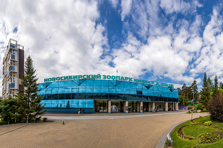    Фото Андрея Заржецкого