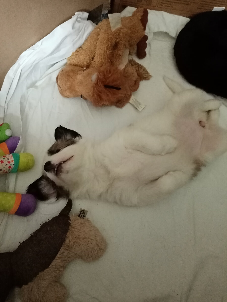 Фото автора канала