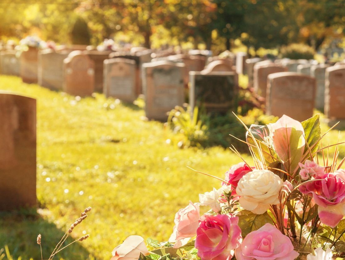 стоковое фото