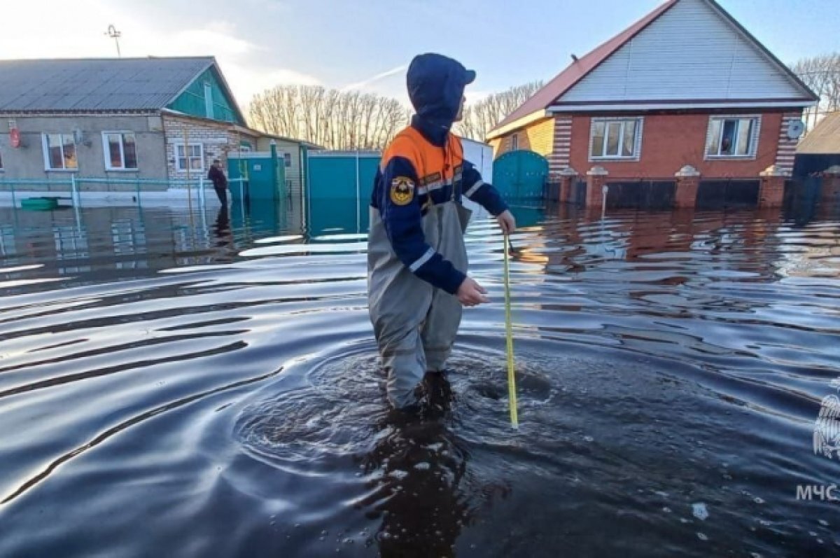    В Челябинской области селяне спасались от потопа на крышах домов