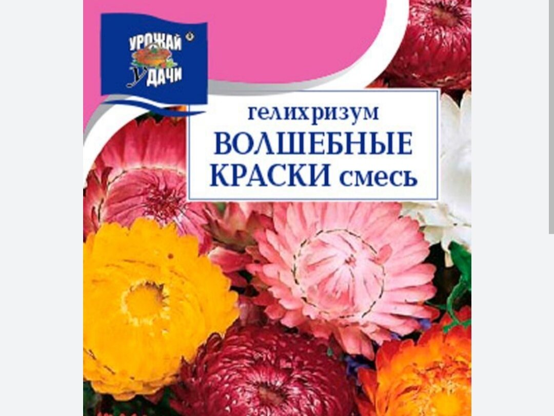 Семяна Гелихризума 38р