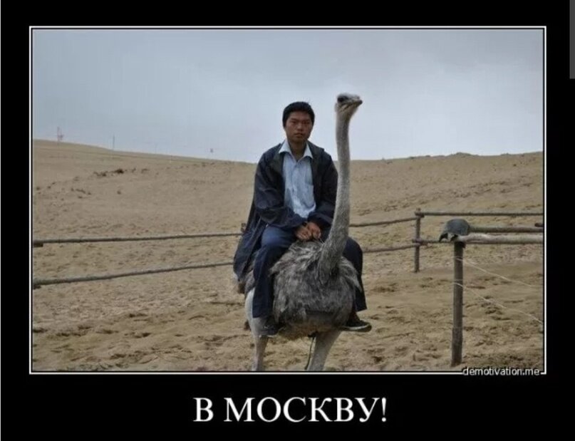 Приехал в москву на заработки. Переехал в Москву прикол. Уехала в Москву прикол. Еду в Москву юмор. Прикол про поездку в Москву.