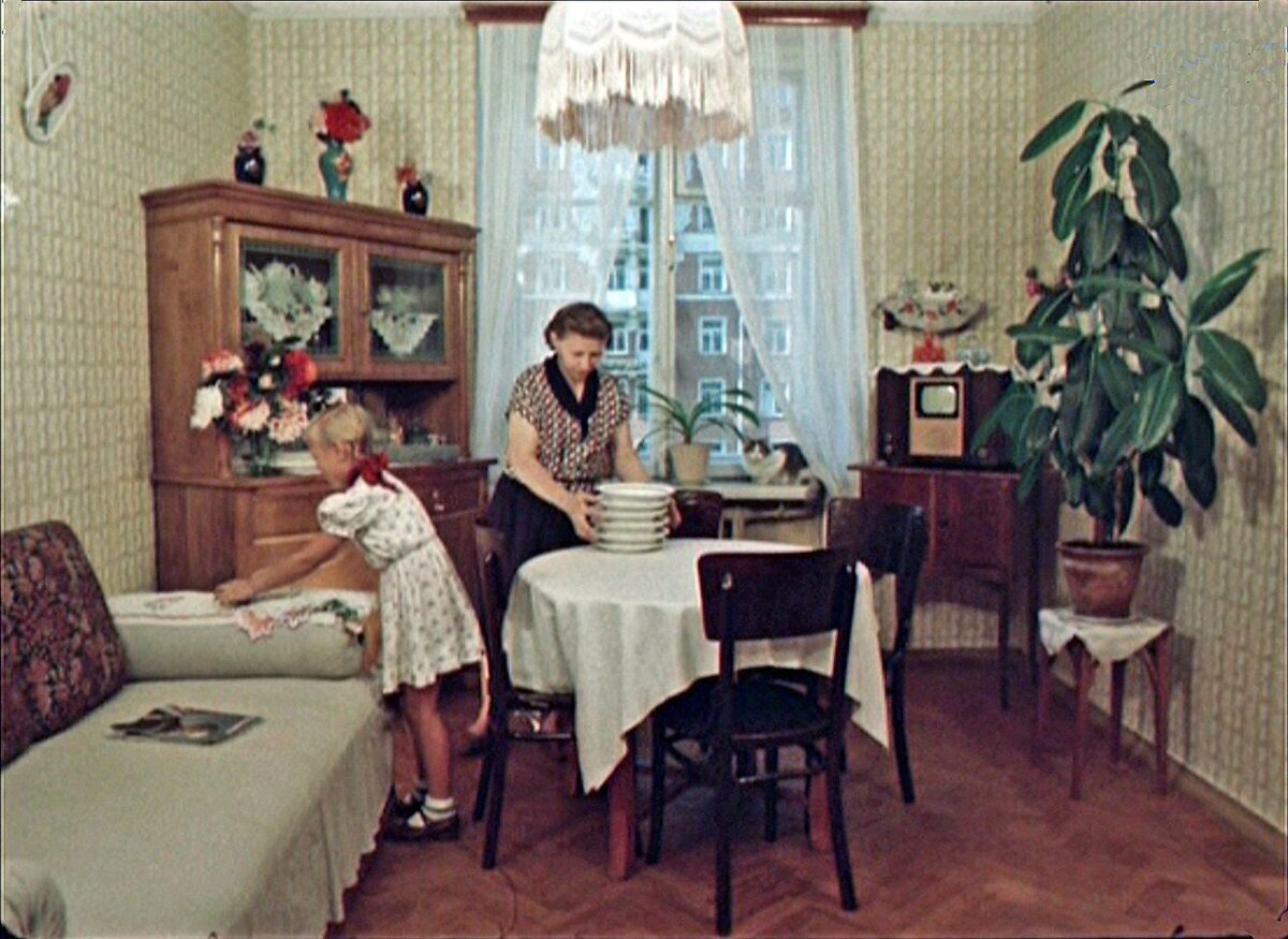 Фикус в квартире советского человека 