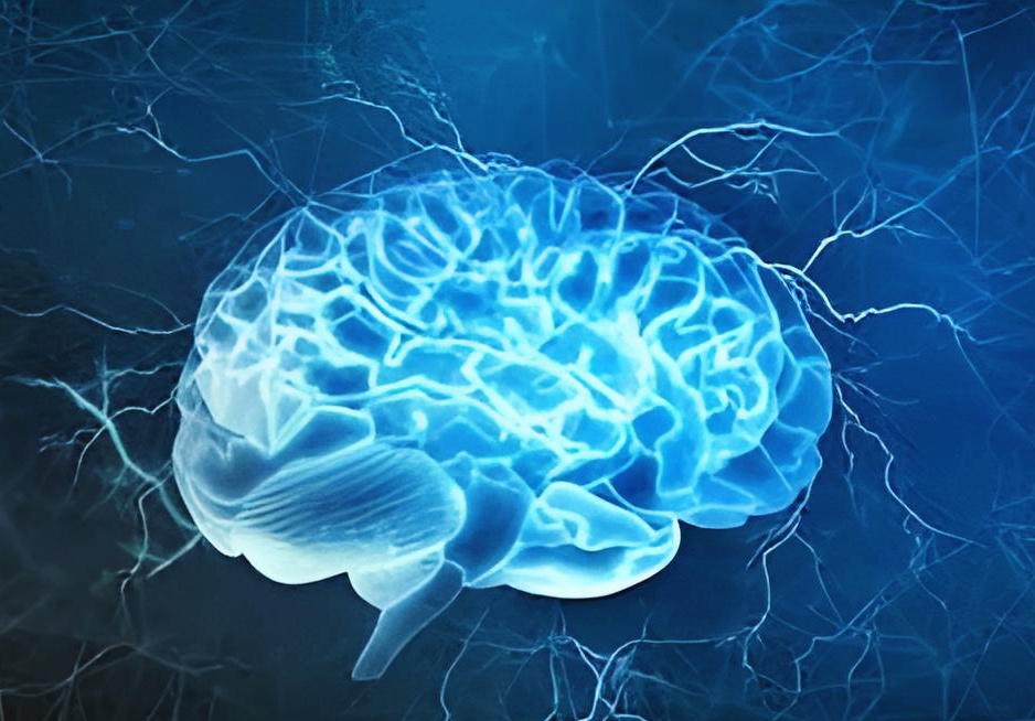 Brain 54