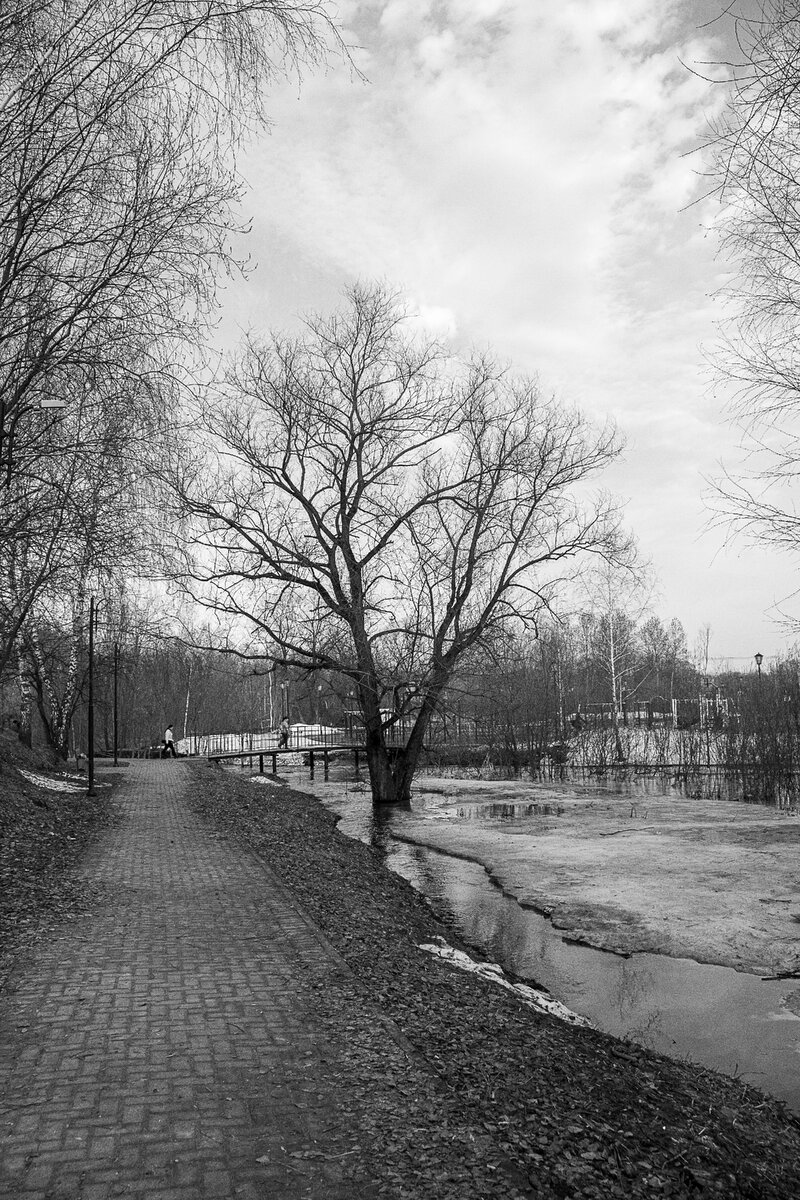 фотография автора