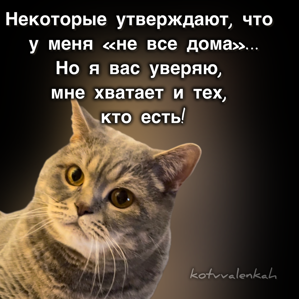 МЕМОрандум субботы , апрельнуло | Кот в валенках Марсель | Дзен