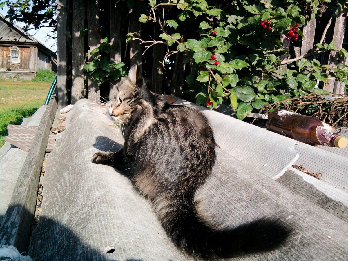 Фото из личного архива автора