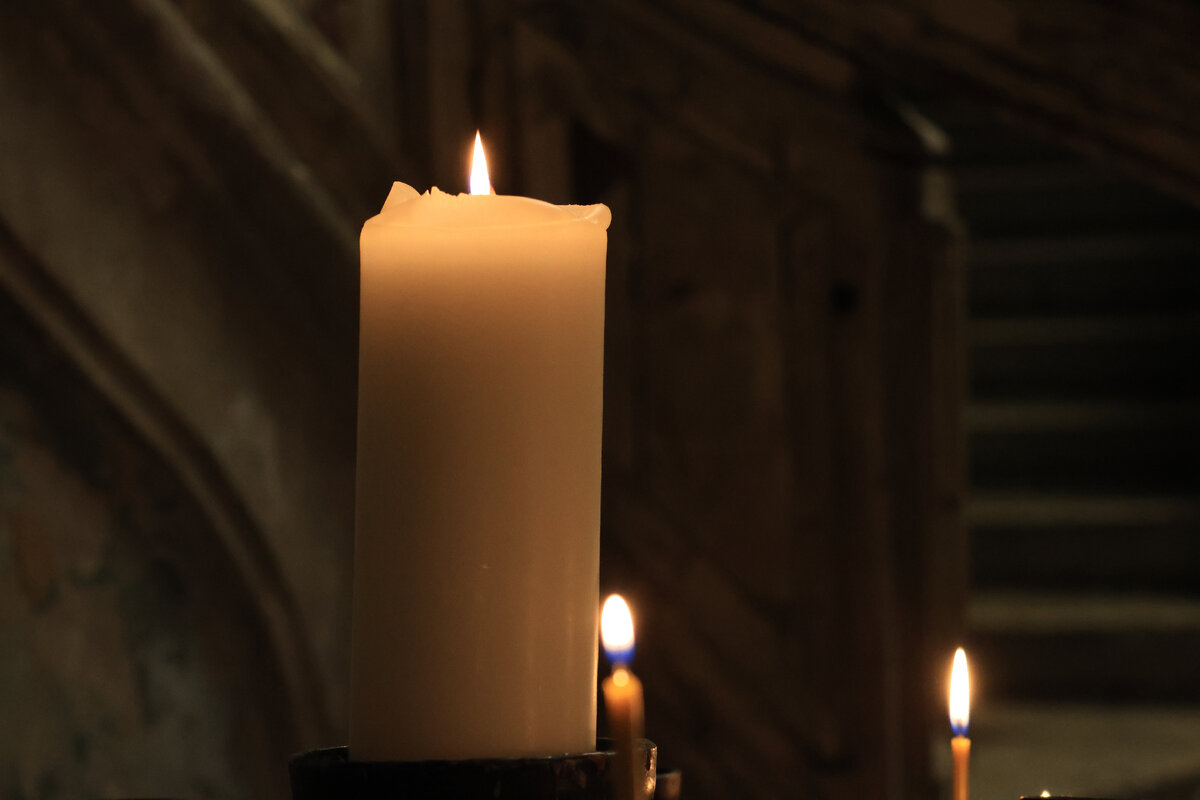 Фото: Baltphoto/Вероника Овсянникова