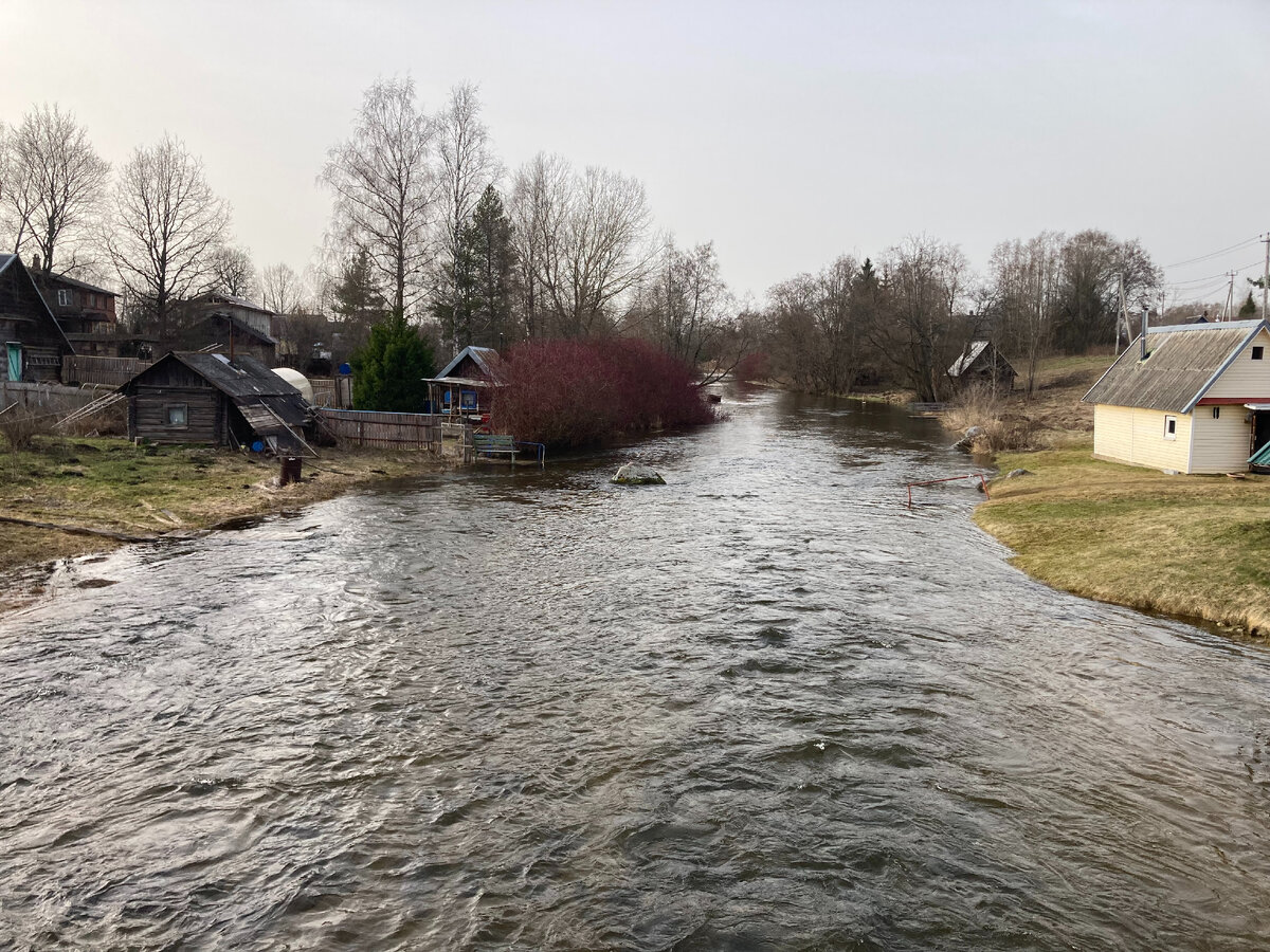 Тот же вид 1 апреля