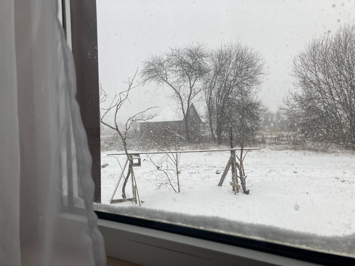 Вид из окна 5 апреля
