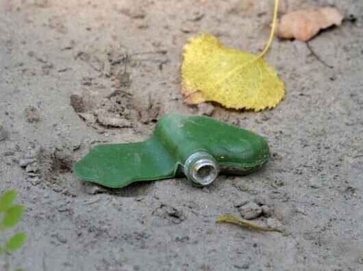    Мина-лепесток //Фото ria.ru