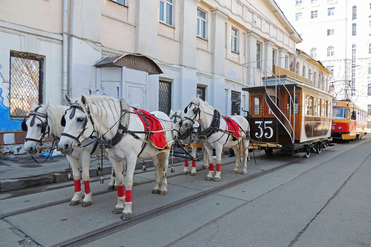    Предшественником трамвая была конка — вагон на конной тяге, который ходил по рельсам. 9 июня 1872 года в Москве прошла первая временная трамвайная линия от Иверских Ворот до Тверской Заставы / Агентство городских новостей «Москва»