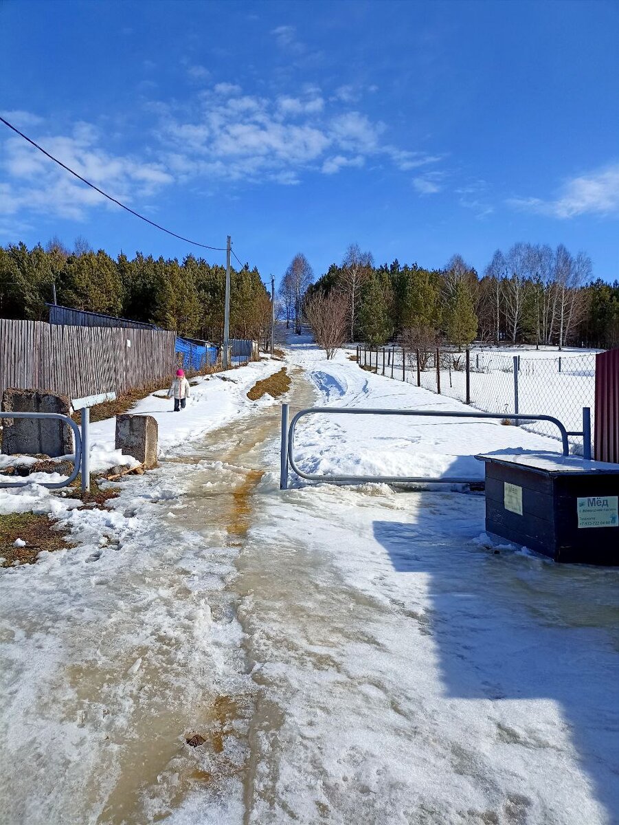 Свернули с Чуйского тракта к Шукшину на горе Пикет в Сростках | Дома не  сидится! | Дзен