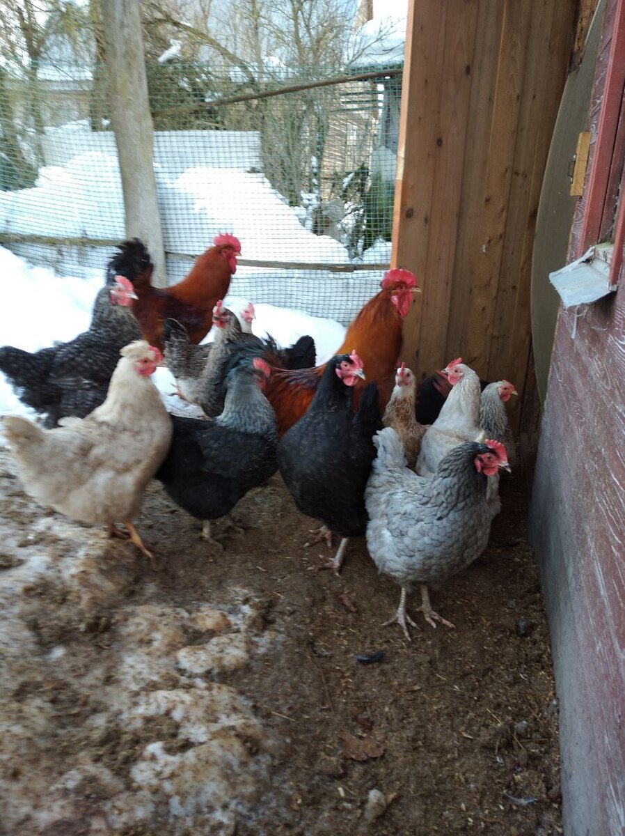 Фото автора