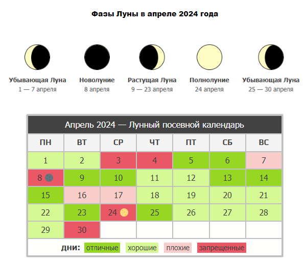🌝 Лунный календарь садовода на апрель 2024 года