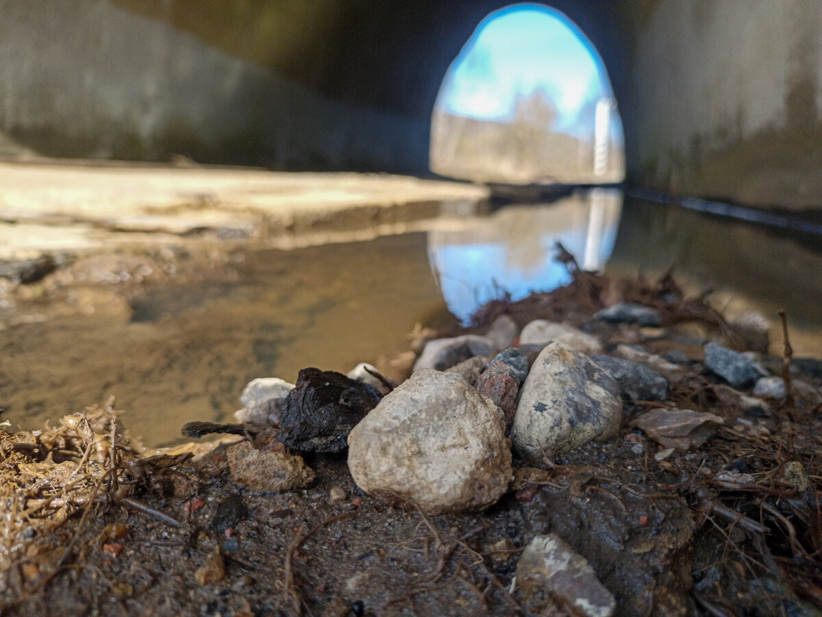 На весенней покатушке. Под ЖД мостом в Валутино