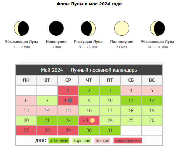 Фазы луны и 🌕 Благоприятные дни для посадки растений в мае