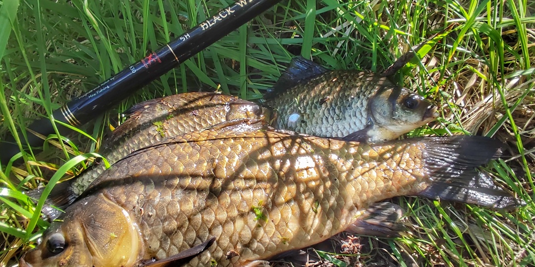 Корейская оснастка. Полная сборка. Карась.