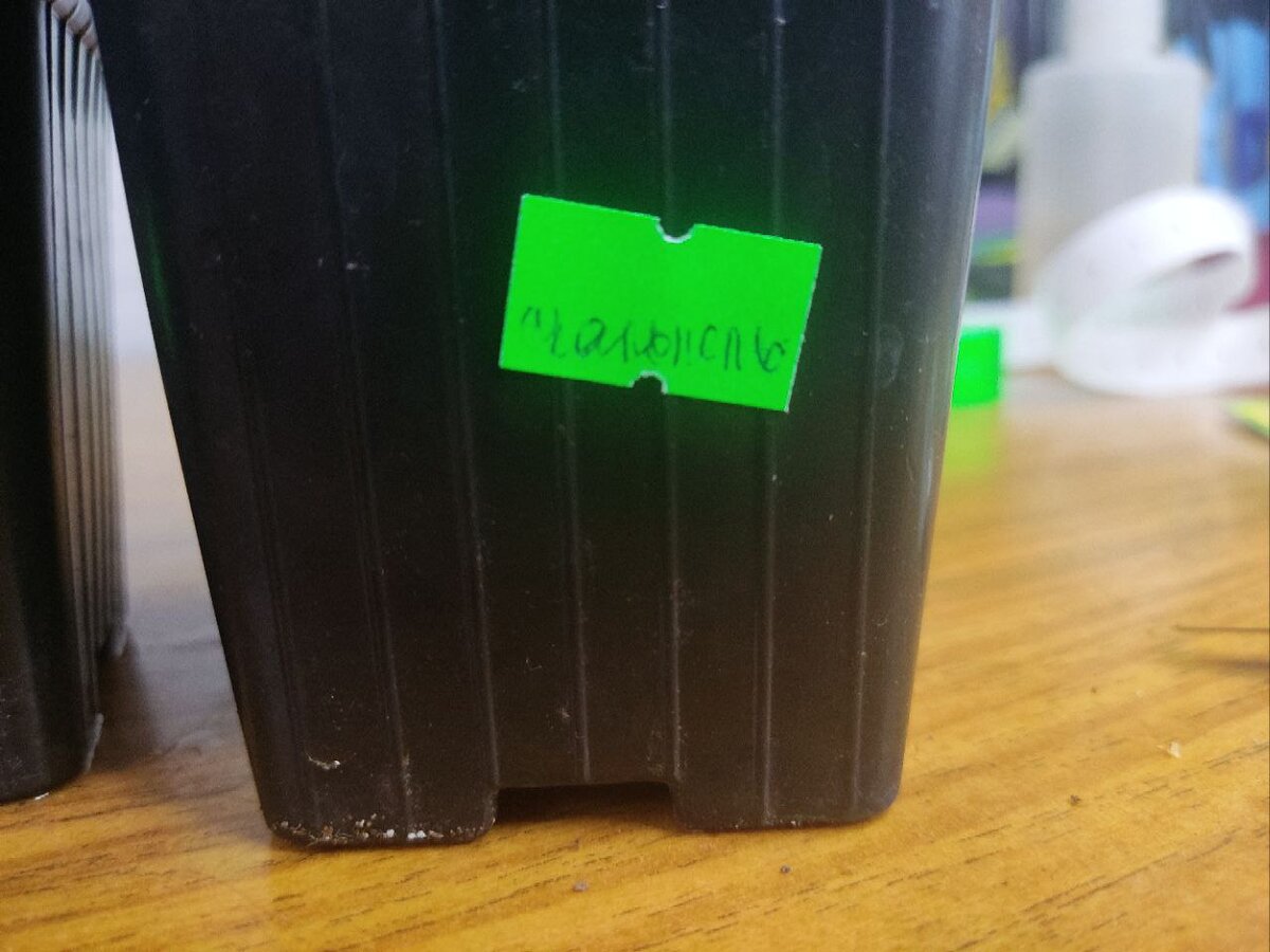 Здесь написано скальпель