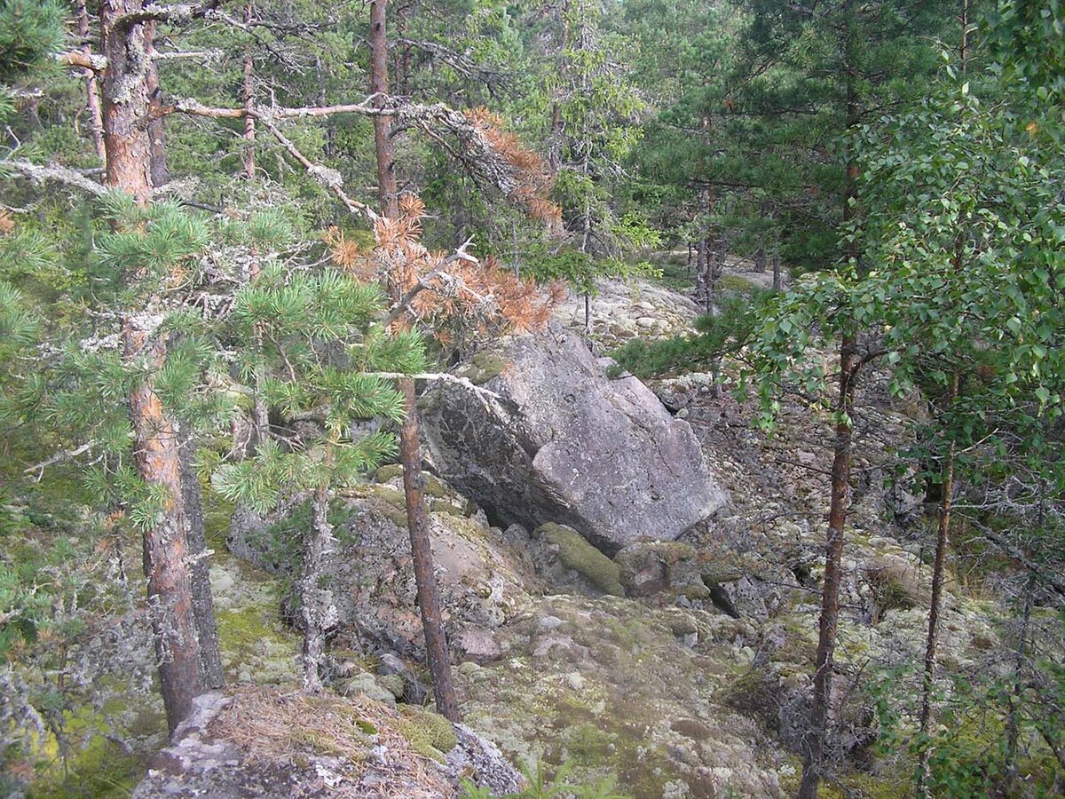 Очень красиво