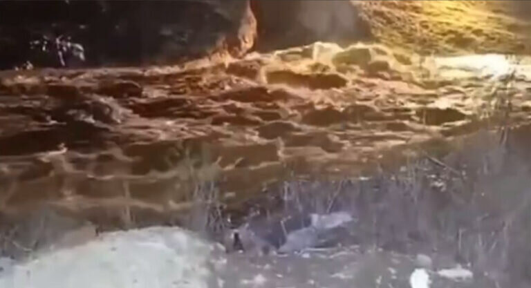    Прокуратура направила в следственные органы материалы по факту прорыва дамбы в Орске Кристина Просвиркина