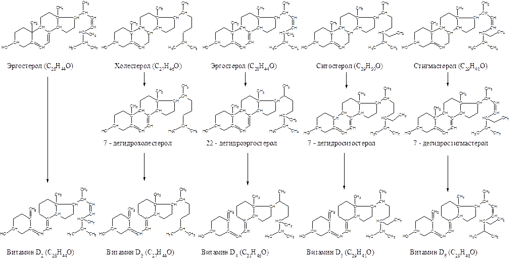 На схеме хорошо показано преобразование из провитаминов в витамины группы D от D2 до D6. Схема взята из интернета