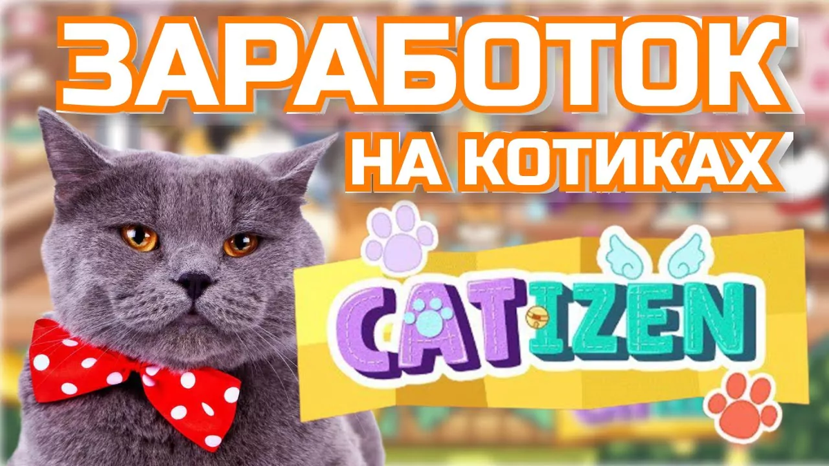 Catizen на блокчейне TON лучше чем Notcoin? Фармим крипту без вложений.  Полный обзор проекта. | Monetio Блог: Инвестиции и Криптовалюта | Дзен