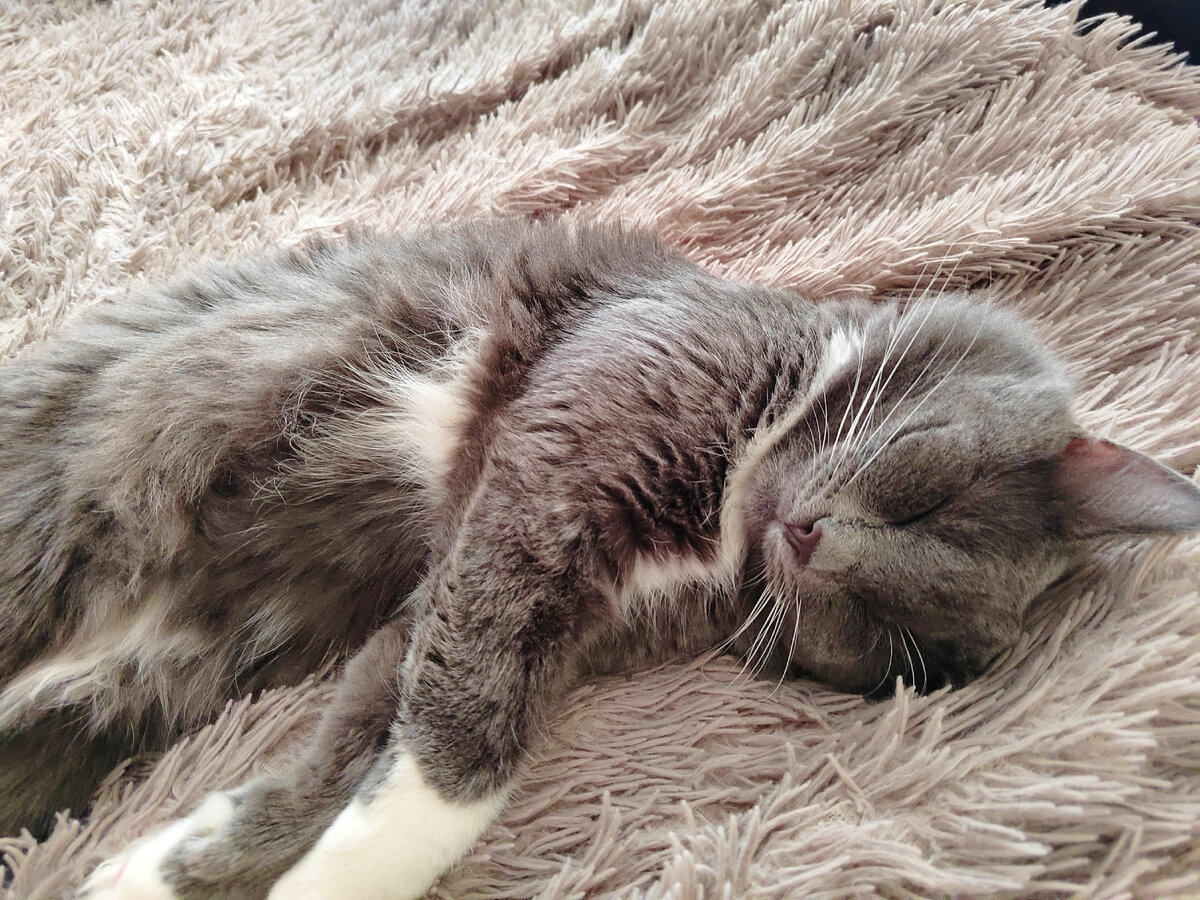 Фото автора канала.