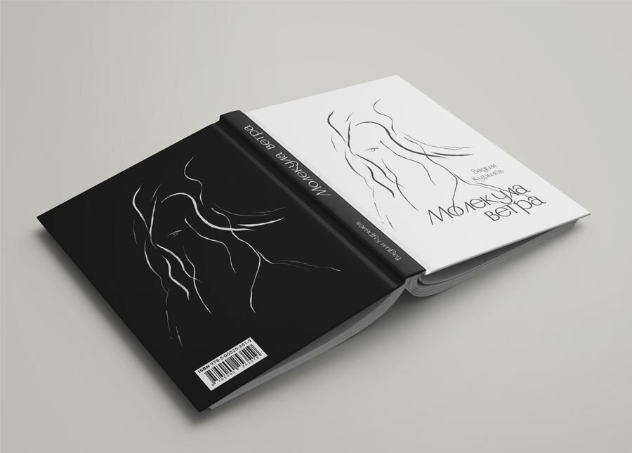 Вадим Курылёв книга
