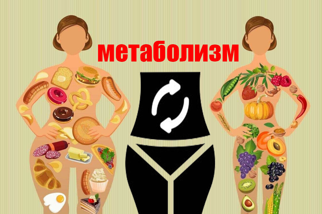 Источник фото Яндекс картинки