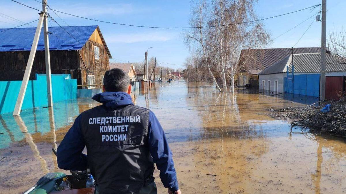   Фото: СК РФ по Оренбургской области