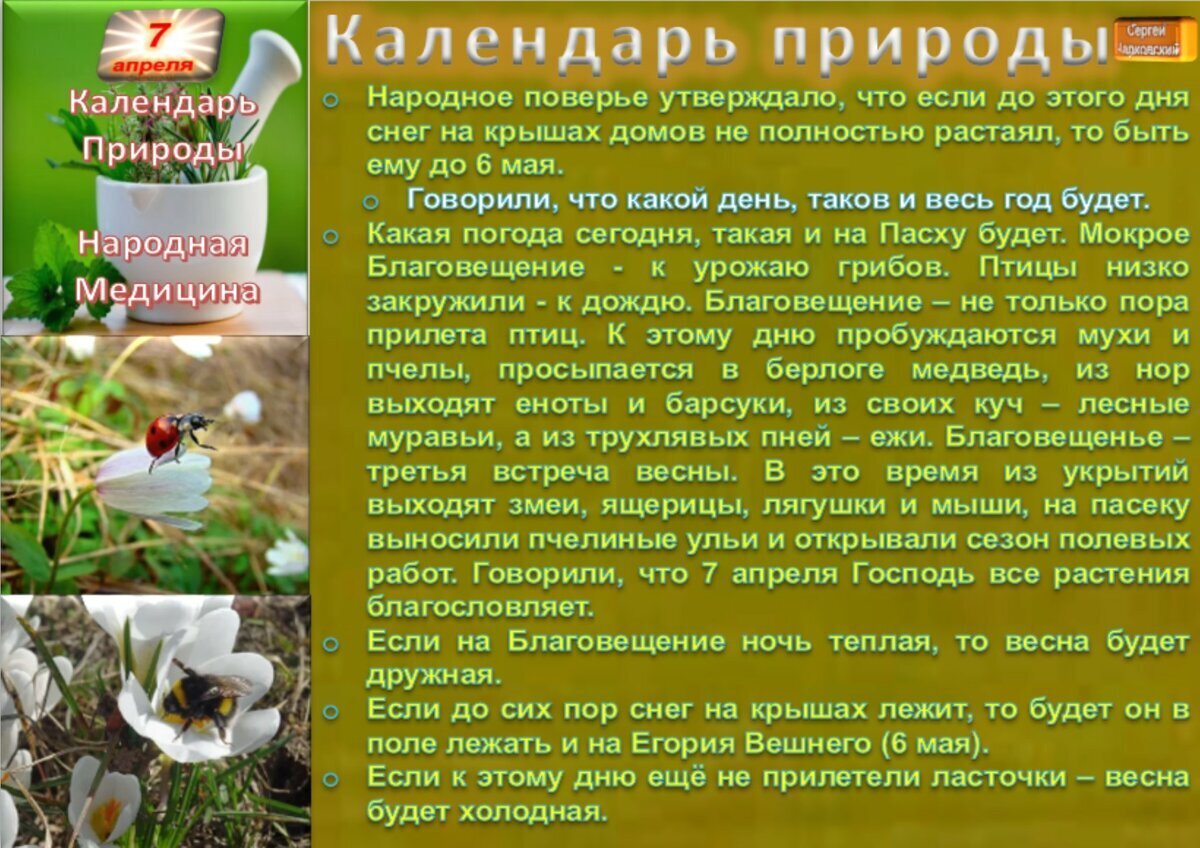 9 апреля приметы и поверья. 9 апреля приметы и поверья