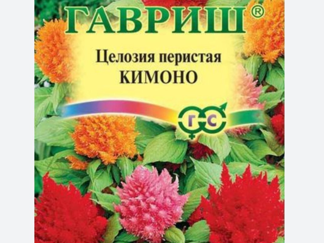 Семена Целлозии перистой 45р.