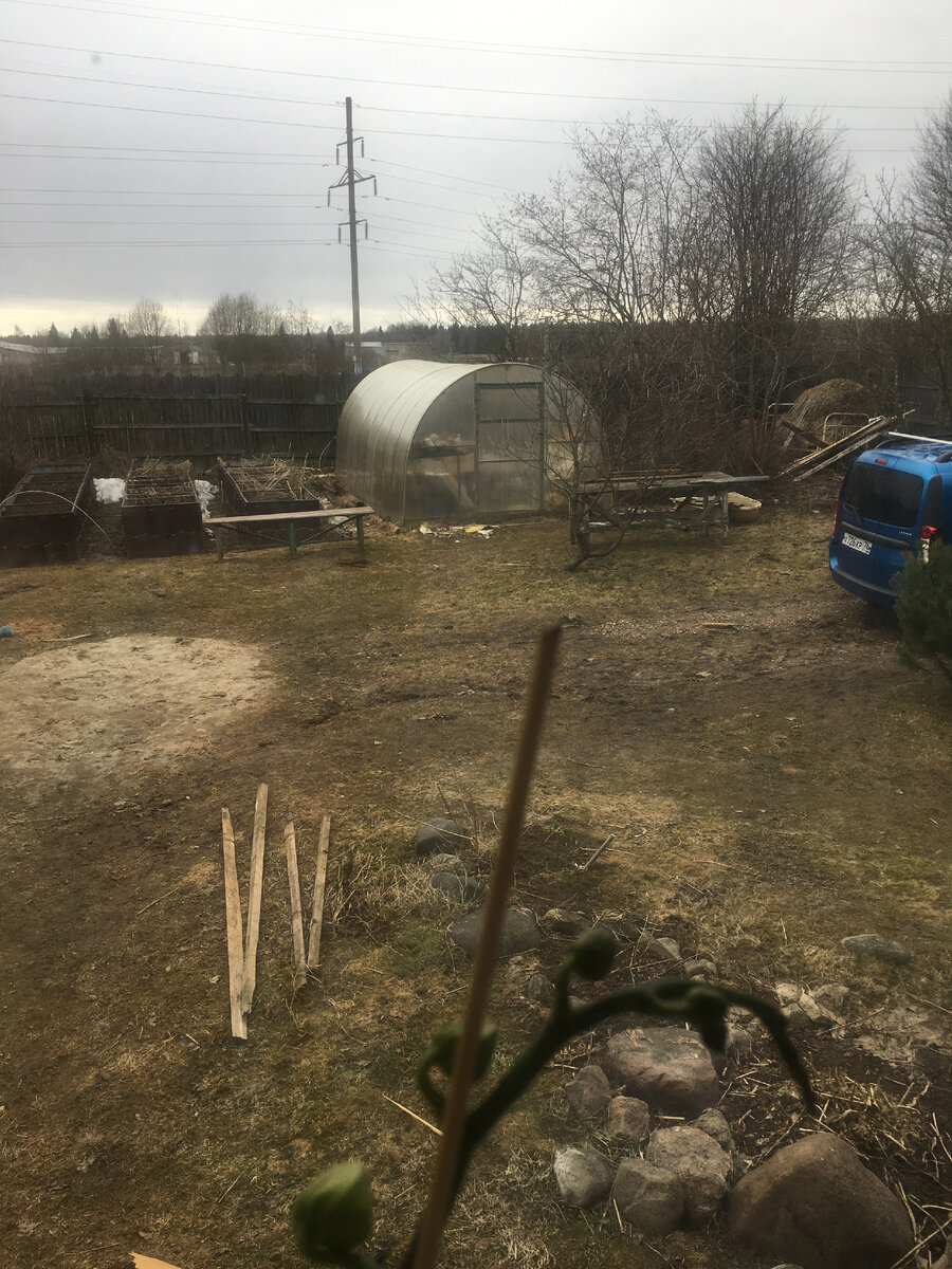 вид из окна