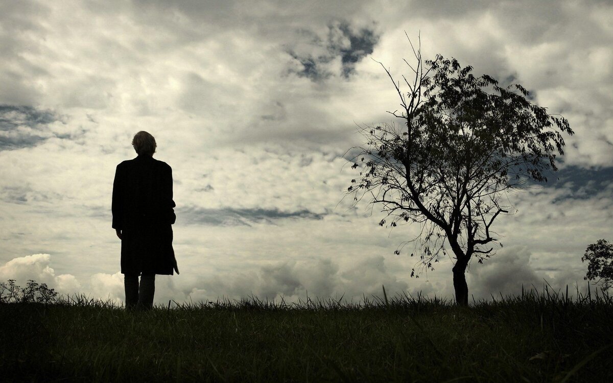 Изображение взято из открытых источников интернета. 