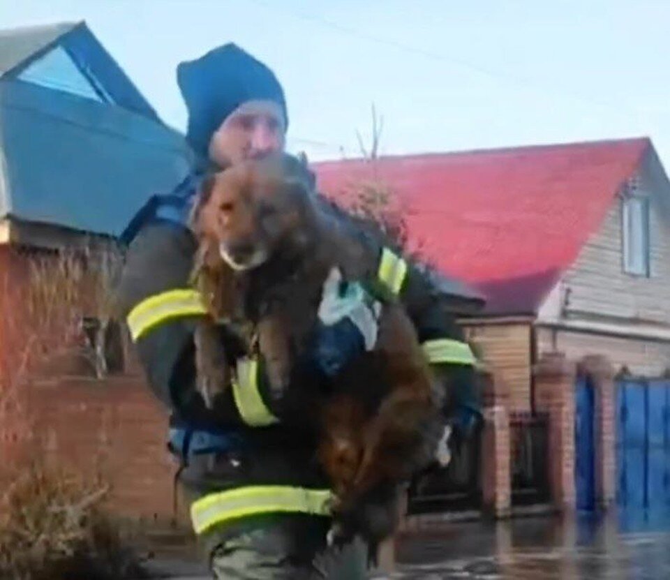   Фото: скрин с видео ГУ МЧС России по Пермскому краю.