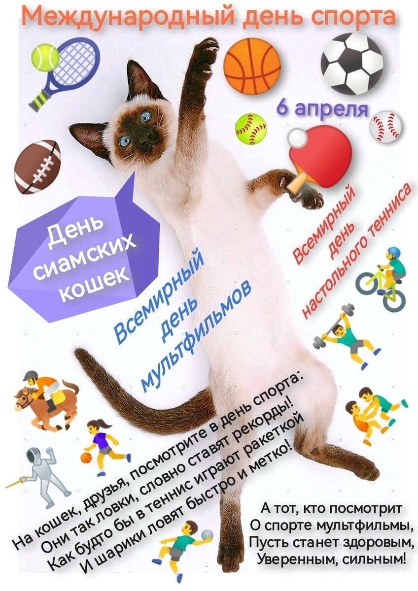 6 апреля - День спорта, сиамских кошек, мультфильмов и настольного тенниса (Фотоколлаж автора).