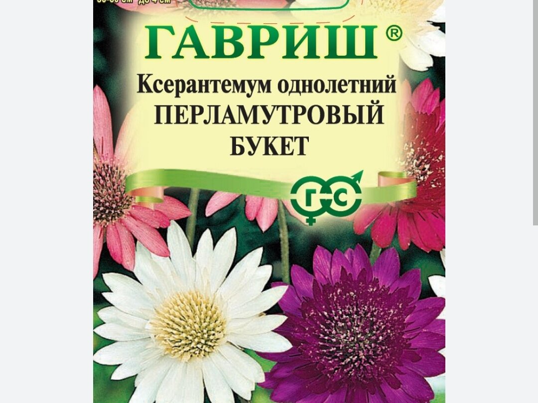 Семена  Ксерантемум. 180р