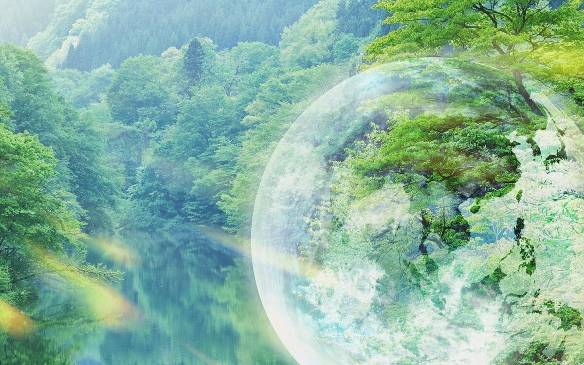 Из открытых источников