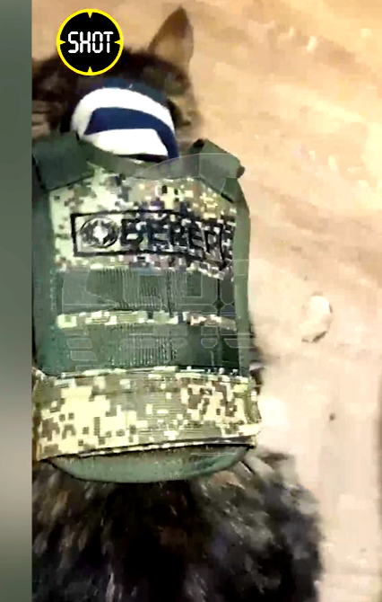 Скрин с видео канала Shot