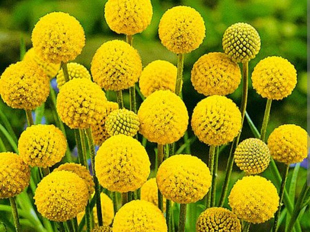 Фото из интернета