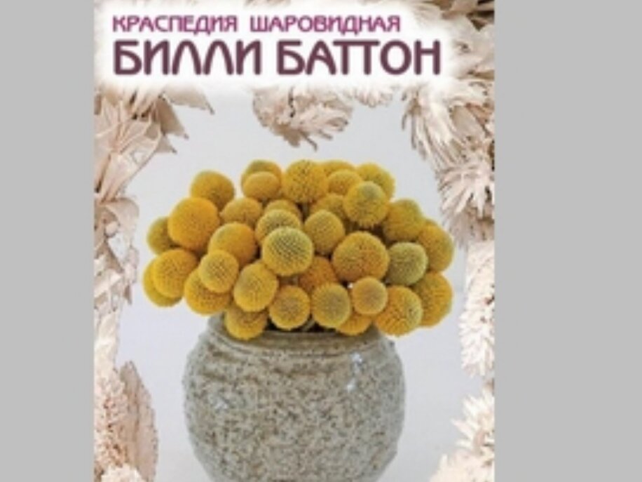 Семена Краспедии 110р