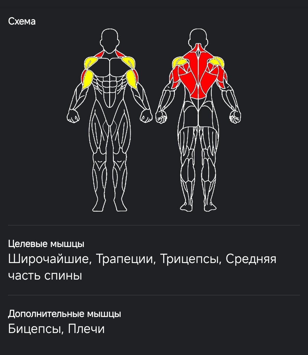 Распределение нагрузки по мышцам