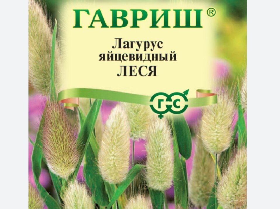 Лагурус Леся семена 120р